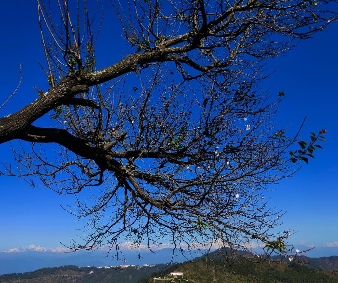 Meraki Huts Pauri 외부 사진