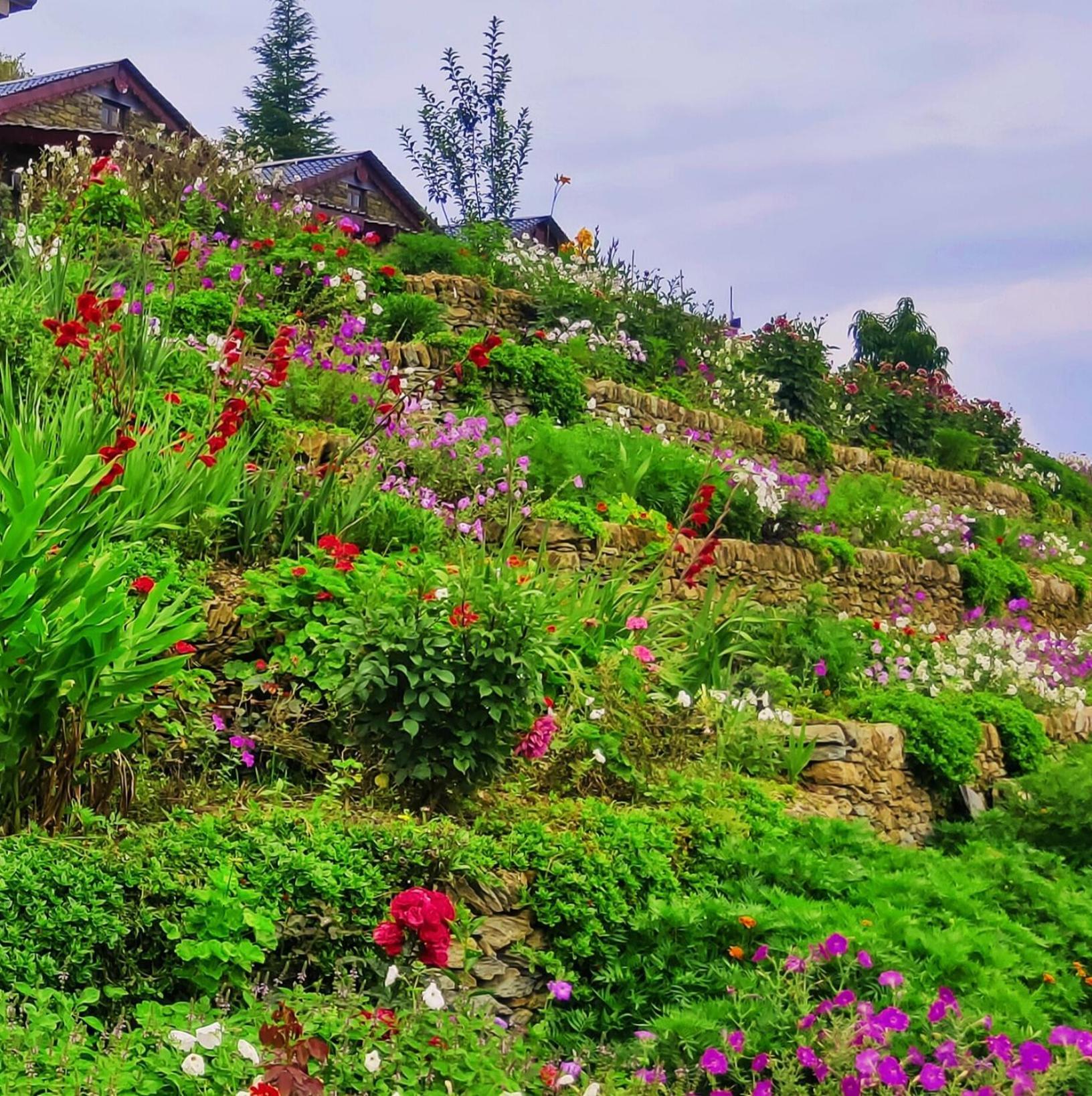 Meraki Huts Pauri 외부 사진